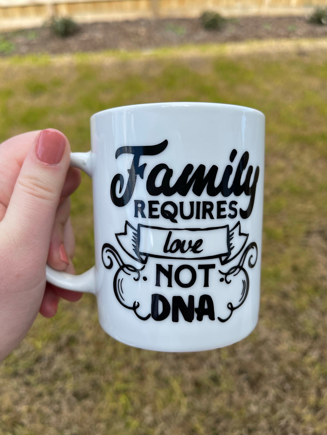 Family requires love not DNA mug